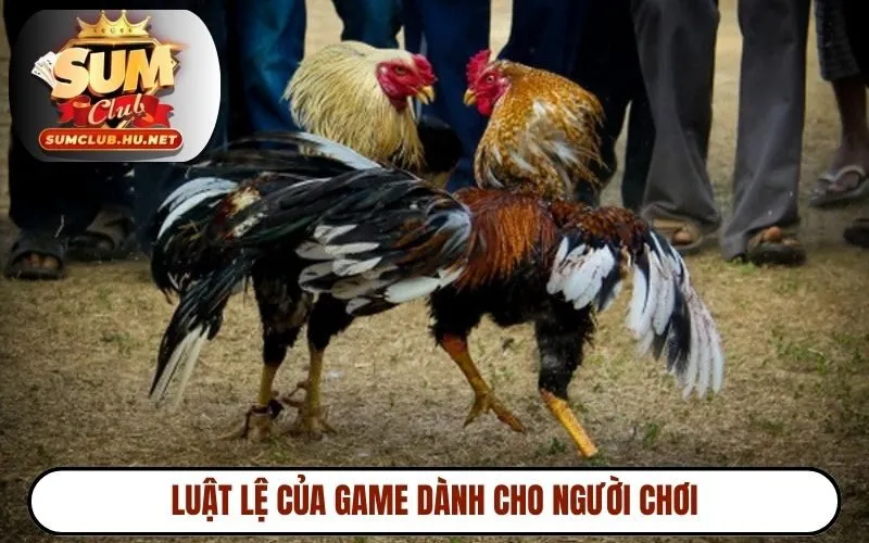 Luật lệ của game dành cho người chơi